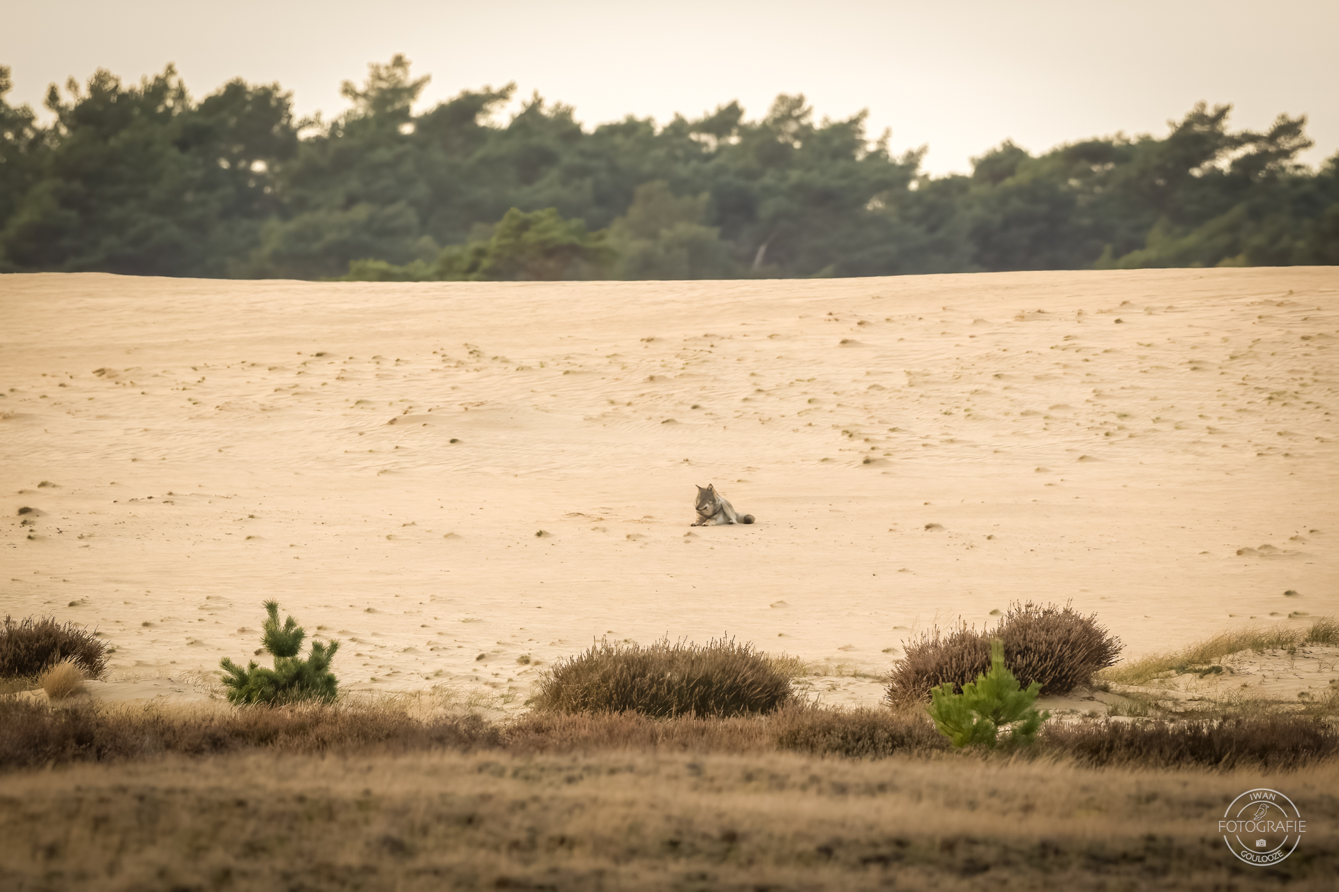 11 november 2022 170534 1R2A6116 bewerkt